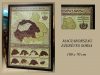 MAGYARORSZÁG EZERÉVES SORSA TÉRKÉP 64 X 91 CM KERETEZETT MAGYARORSZÁG EZERÉVES SORSA TÉRKÉP 64 X 91 CM KERETEZETT