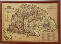   Magyarország borászati térképe 1884  falitérkép 100*70 cm - tűzdelhető keretezett