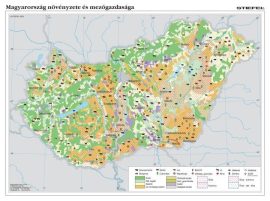 Magyarország növényzete és mezőgazdasága, 140*100 cm, laminált, faléces