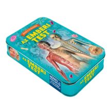 Olvasd el és válaszolj - Az emberi test