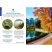 Vancouver Pocket guide - Lonely Planet útikönyv 2026 Vancouver Pocket guide - Lonely Planet útikönyv 2026